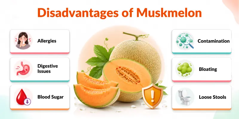 Disadvantages of Muskmelon