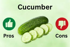 Benefits and Side Effects of Cucumber: Health Benefits, Risks & Nutrition Guide
