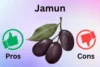 Advantages and Disadvantages of Jamun: Benefits, Risks & More - Post Thumbnail