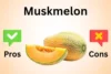 Advantages and Disadvantages of Muskmelon: Complete Guide - Post Thumbnail