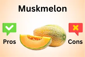 Advantages and Disadvantages of Muskmelon: Complete Guide
