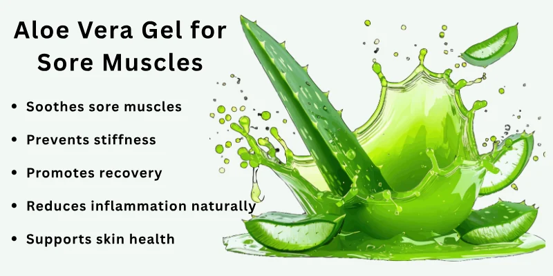 Aloe Vera Gel for Sore Muscles