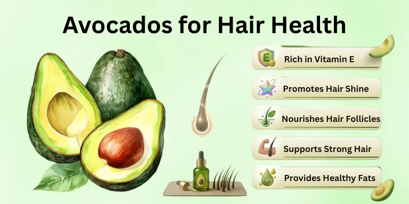 Avocados for Hair Health