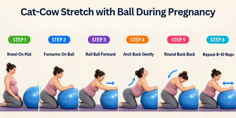 Ball Cat Cow Stretch Exercise During Pregnancy
