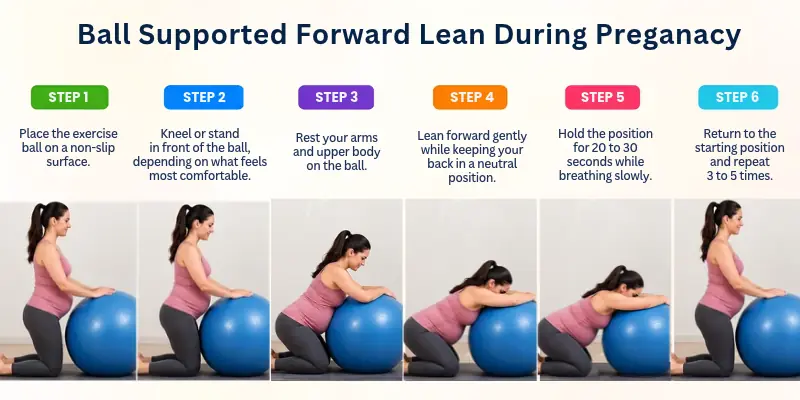 Ball Supported Forward Lean Exercise During Pregnancy
