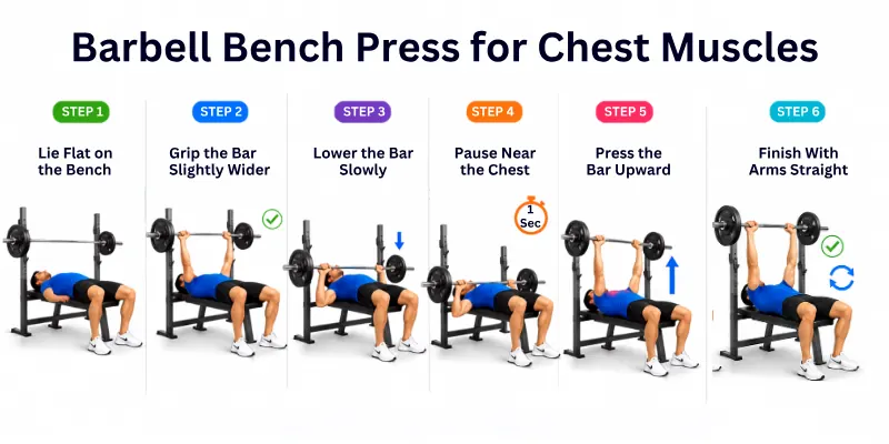 Barbell Bench Press for Chest Muscles