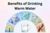 Benefits Of Drinking Warm Water & Healthy Daily Habits - Post Thumbnail