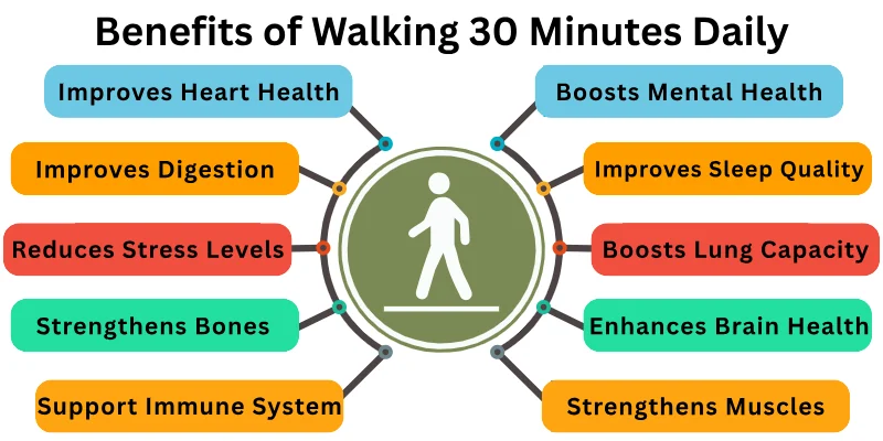 Benefits of Walking 30 Minutes Daily