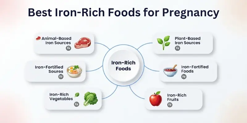 Best Iron-Rich Foods for Pregnancy