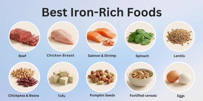 Best Iron Rich Foods