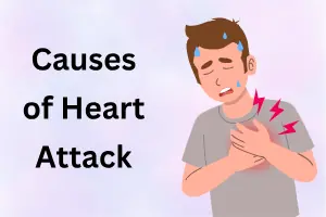 Causes of Heart Attack: Everything You Need to Know Before It Is Too Late