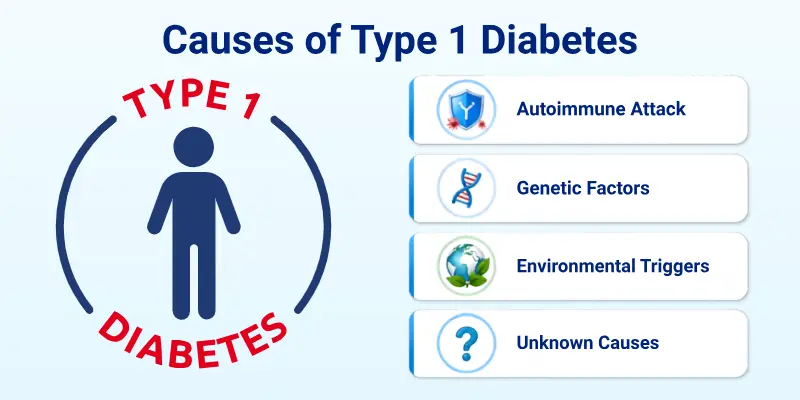 Causes of Type 1 Diabetes