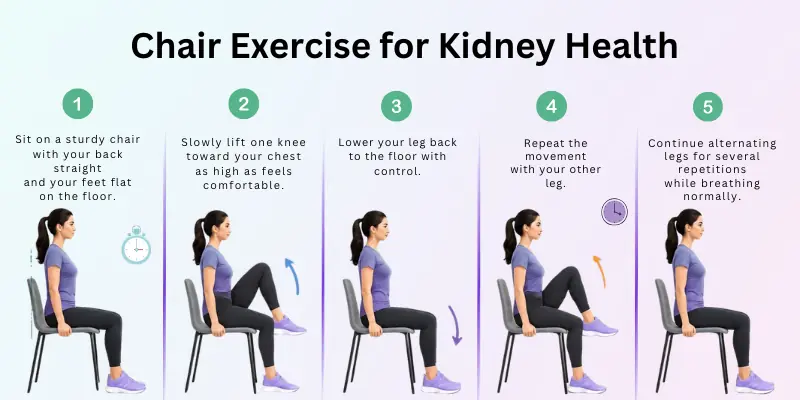 Chair Exercise for Kidney Health