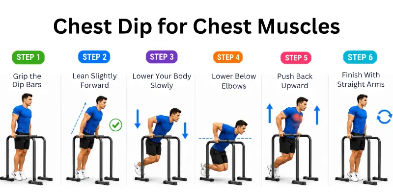 Chest Dip for Chest Muscles 