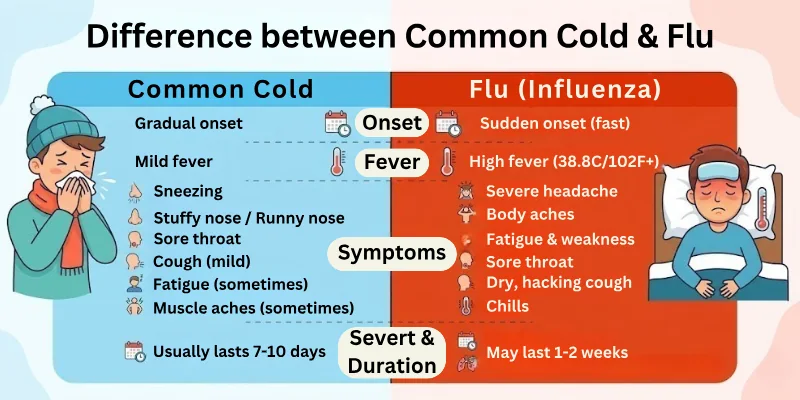 Difference between Common Cold & Flu