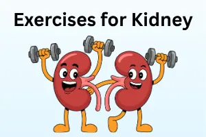 Best Exercises for Kidney Health: Simple Ways to Support Healthy Kidneys