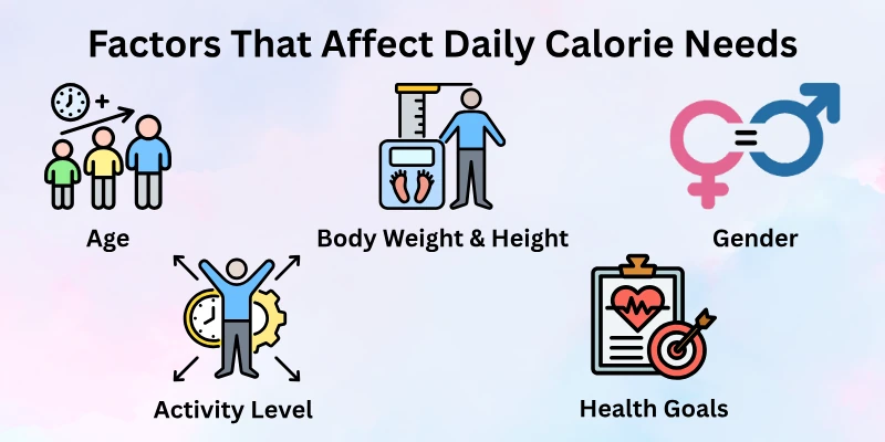 Factors That Affect Daily Calorie Needs