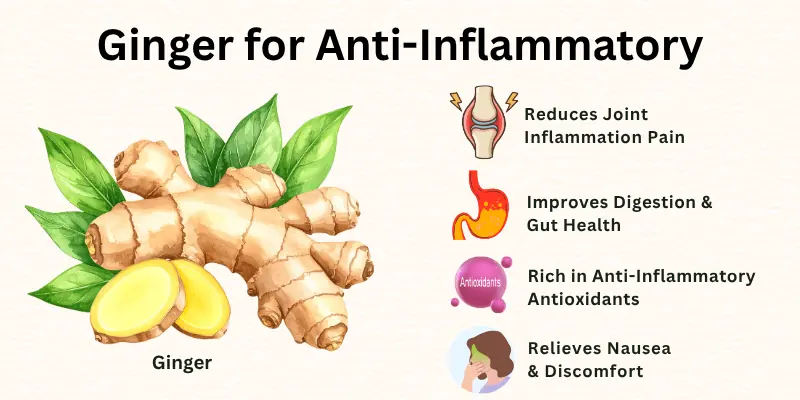 Ginger for Anti-Inflammatory