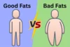 Difference Between Good Fats and Bad Fats: Explained - Post Thumbnail