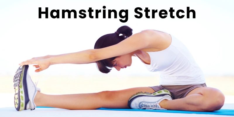 Hamstring Stretch