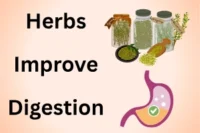 Best Herbs That Improve Digestion: Top Natural Picks