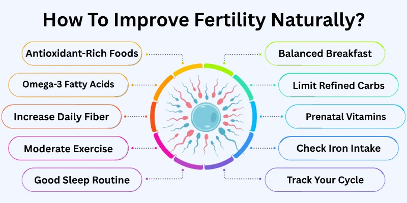 How To Improve Fertility Naturally?