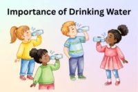 Importance of Drinking Water – Why It Matters