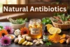 Best Natural Antibiotics: Top Remedies You Need - Post Thumbnail