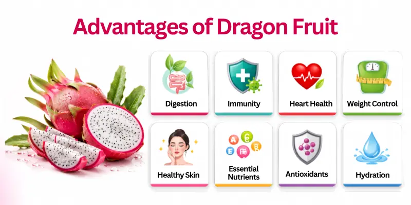 Advantages of Dragon Fruit