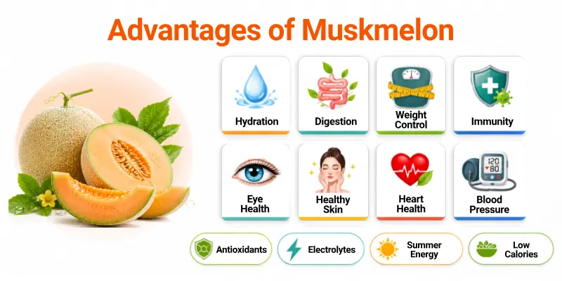 Advantages of Muskmelon