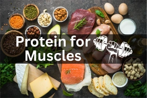 What Does Protein Do for Muscles: Explained Simply