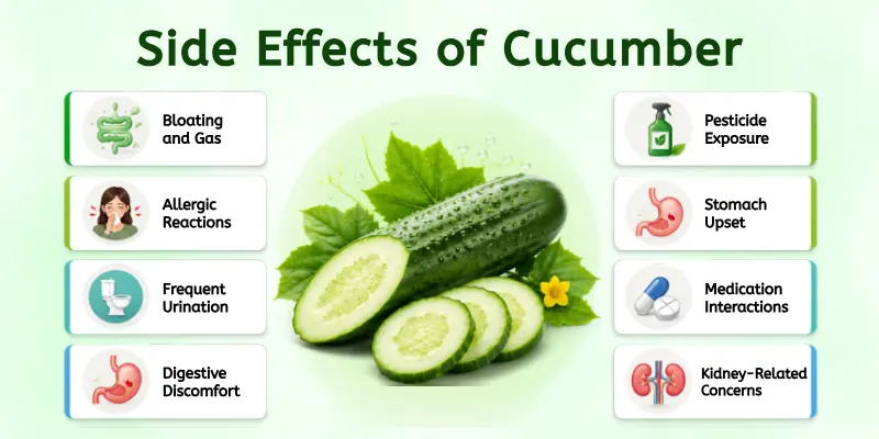 Side Effects of Cucumber