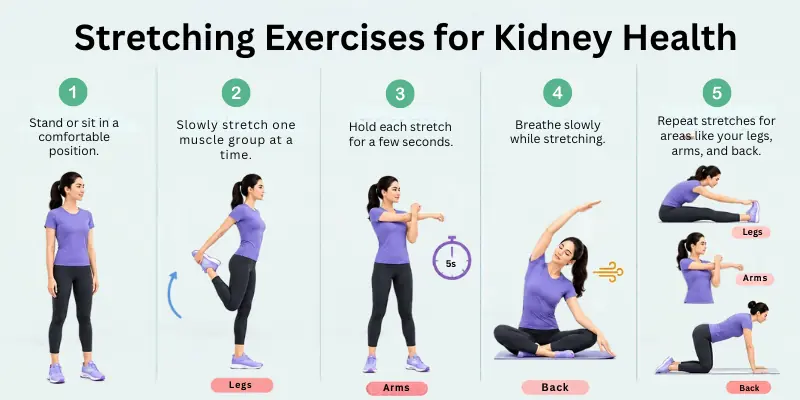Stretching Exercise for Kidney Health