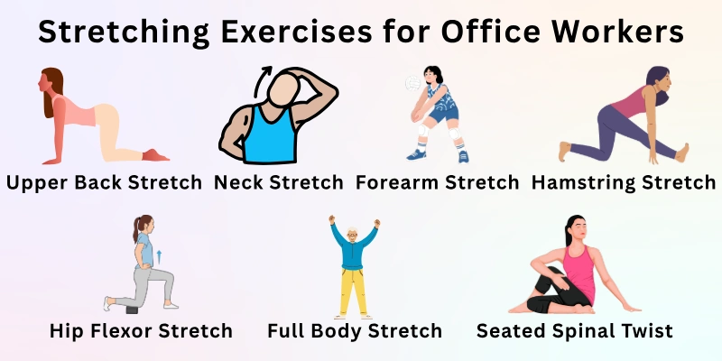 Stretching Exercises for Office Workers