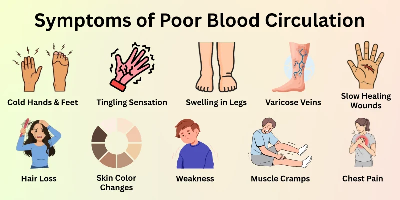 Symptoms of Poor Blood Circulation