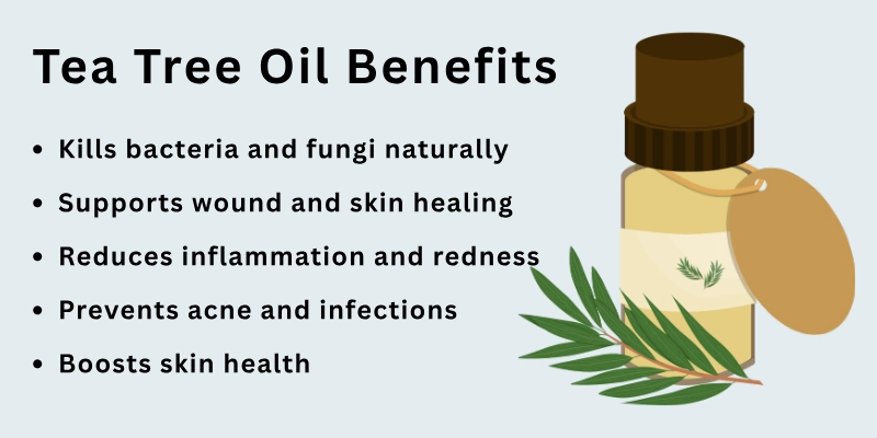 Tea Tree Oil Benefits