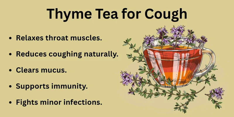 Thyme Tea for Cough