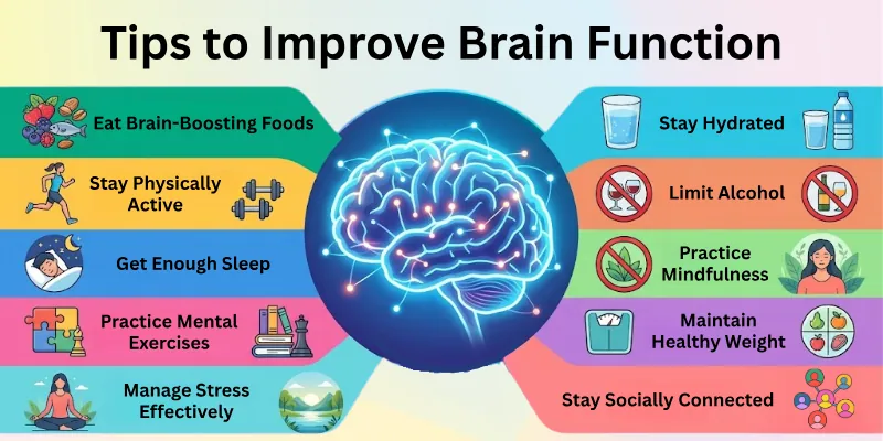 Tips to Improve Brain Function