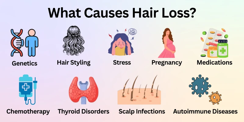 What Causes Hair Loss?
