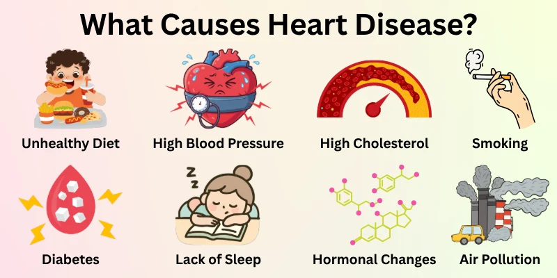 What Causes Heart Disease?