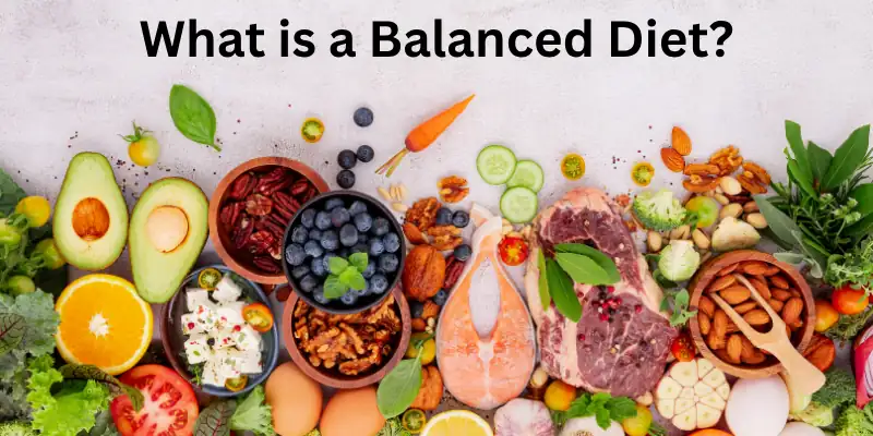 What is a Balanced Diet?