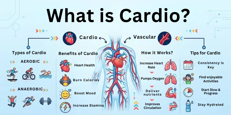What is Cardio?