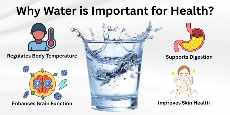Why Water is Important for Health?