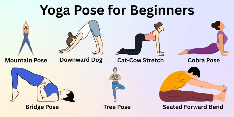 Yoga Pose for Beginners